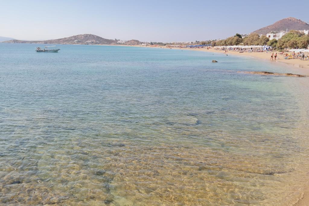 Katerina Babis Studios Agios Prokopios  Ruang foto